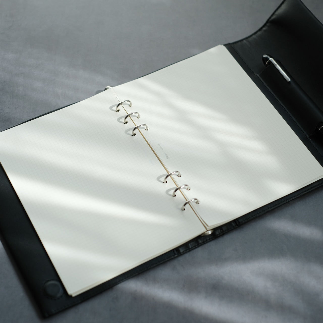 THE ALFEE　シムテム手帳 アシュフォード システム手帳 ルガードスクエアバックプレシャス