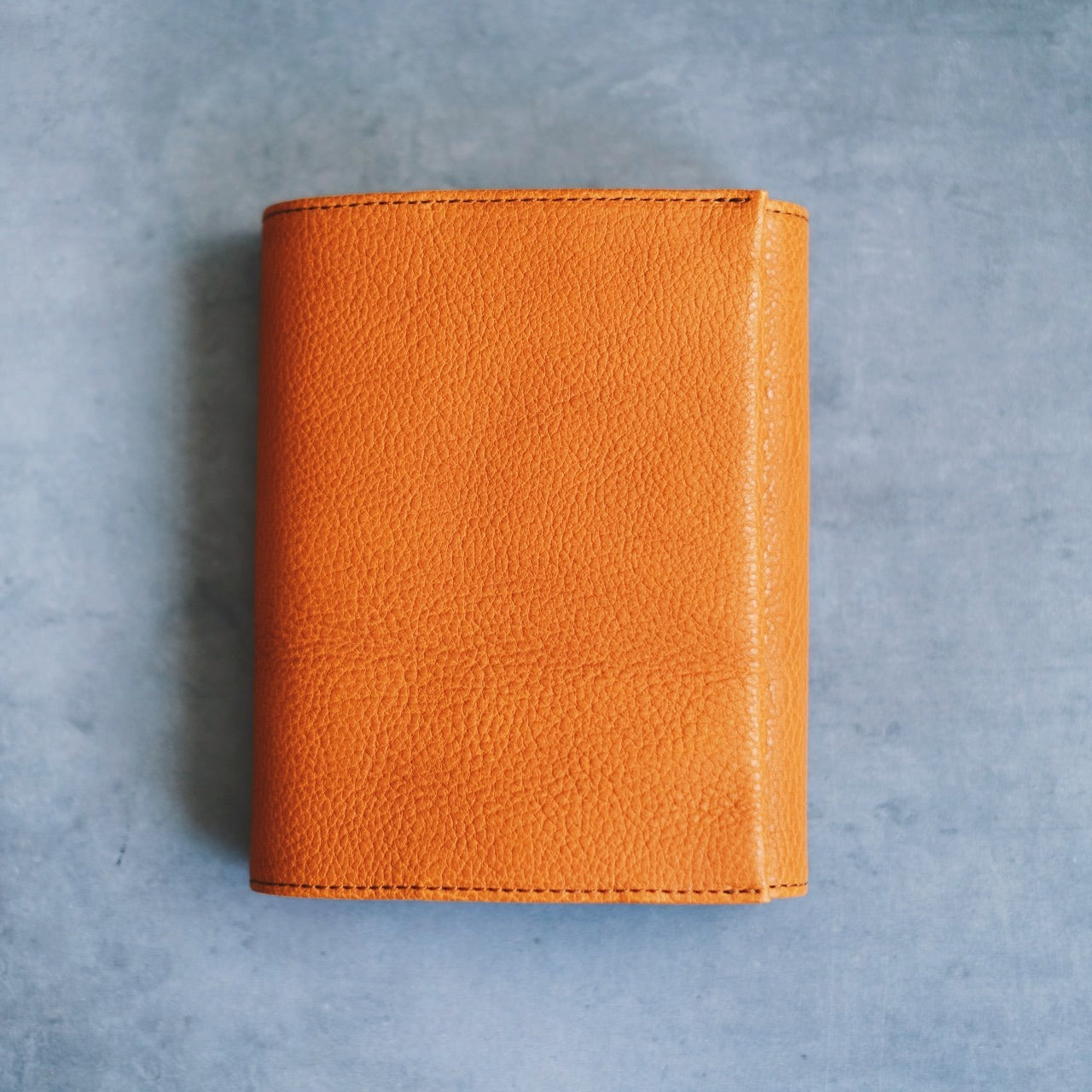 【ペブルヌメ】ペンを持ち歩くシステム手帳　M6サイズ　13mmリング　